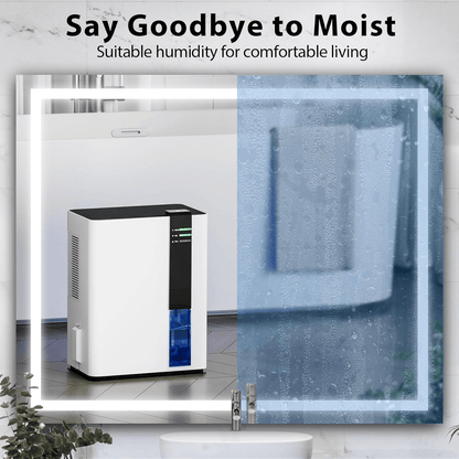 Dual Semiconductor Dehumidifier