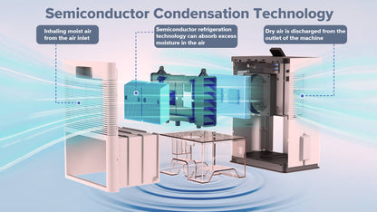 Dual Semiconductor Dehumidifier