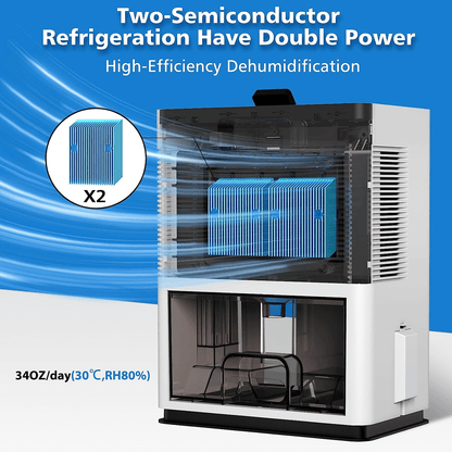 Dual Semiconductor Dehumidifier